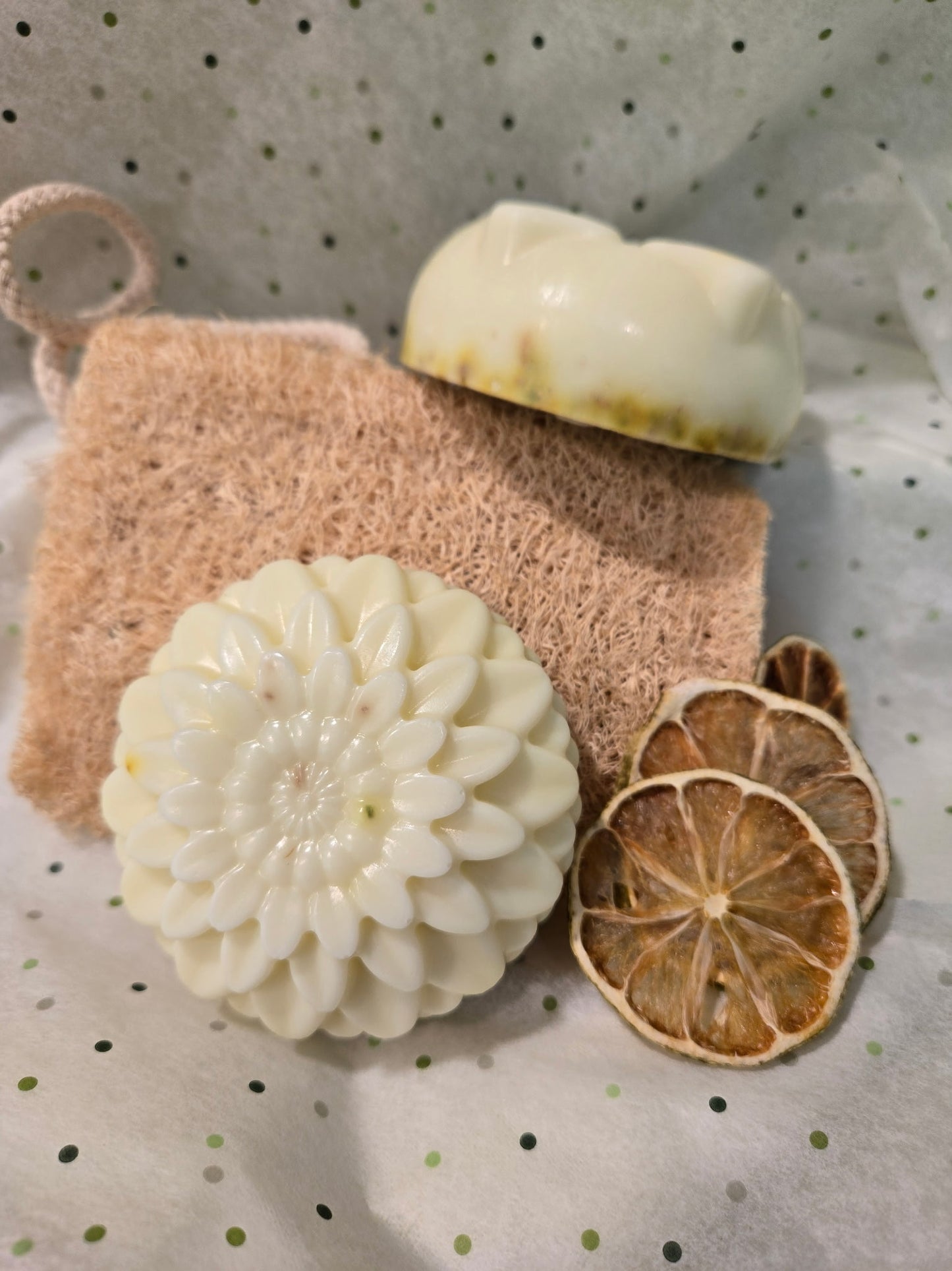 Two soaps and a sponge on a textured surface with dried lemons.